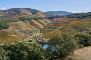 wine estate, winery, vineyard, Douro River, Portugal wine estate, winery, vineyard, Douro River, Portugal